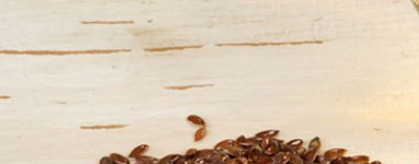 Laneno olje (Linum usitatissimum)